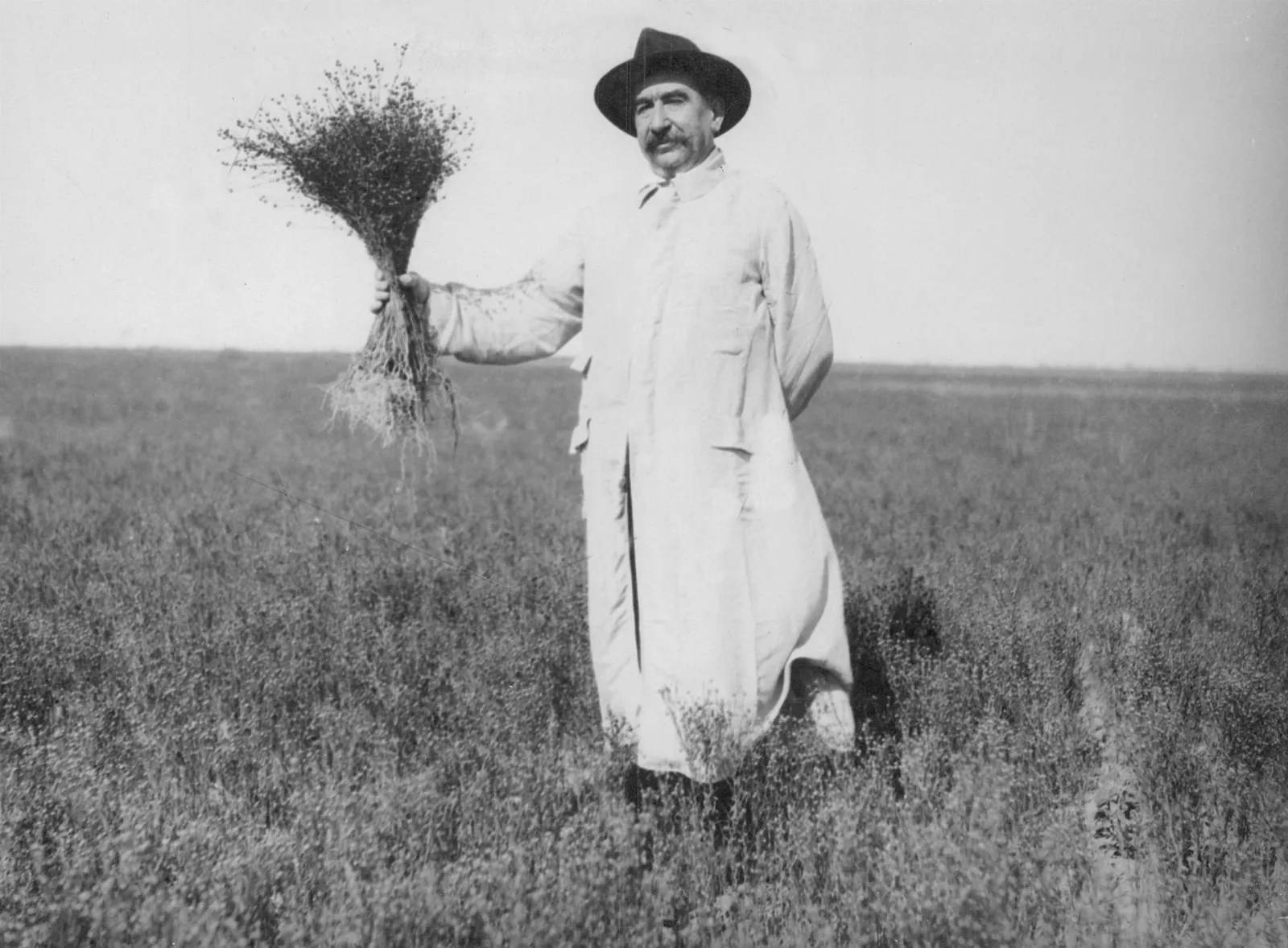 El ex-gobernador José Camilo Crotto mostrando un manojo de plantas de lino, una de las oleaginosas de mayor cultivo en ese momento, 1925.
